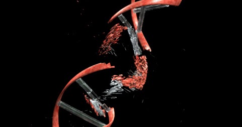 Manufacturer Information and Claims about DNA Force